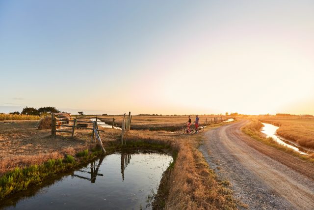 Pays de la Loire, destination idéale dès le printemps !