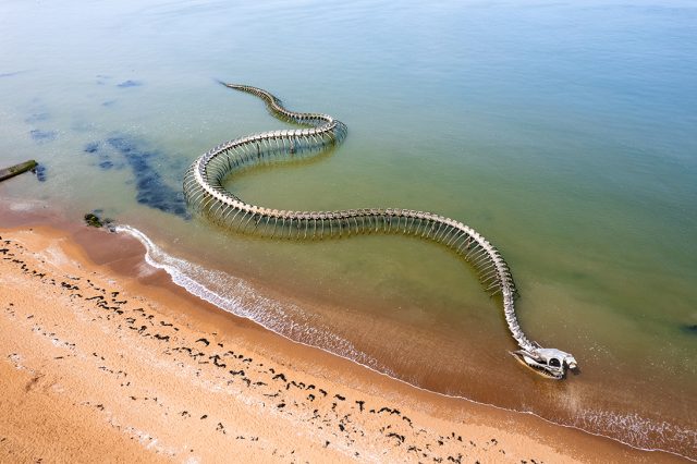 SAINT-BREVIN-LES-PINS : toute l’énergie de l’Océan !