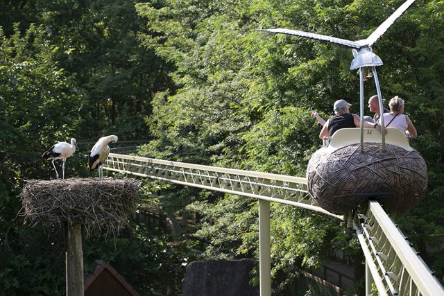 CIGOGNE-MONORAIL-CIGOLAND