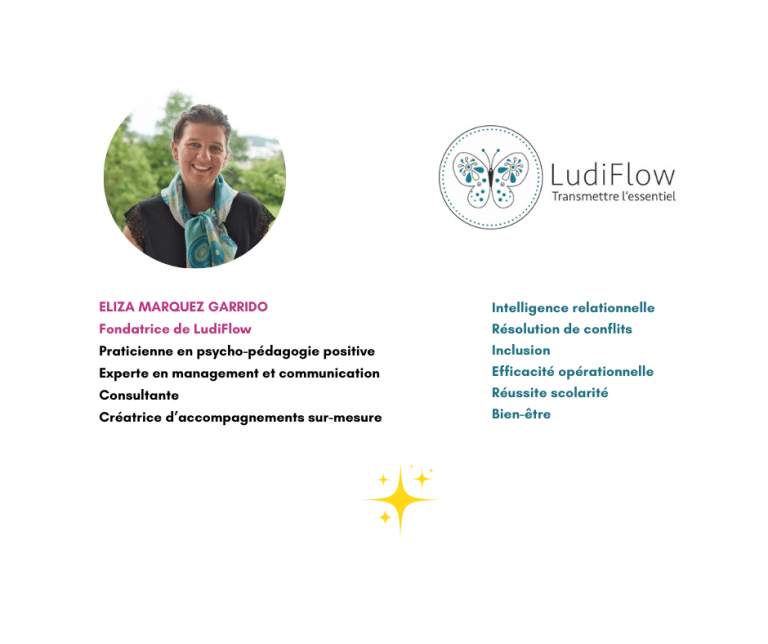 LUDIFLOW