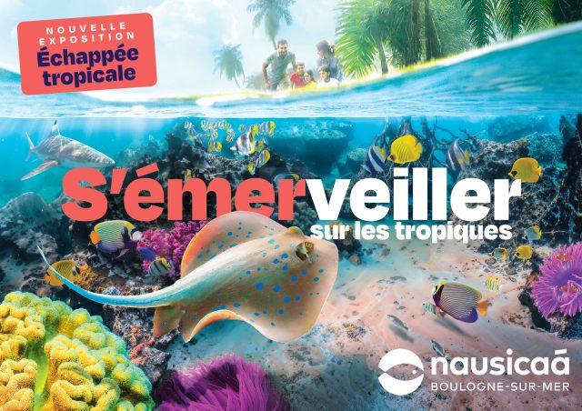 Nausicaà : découvrez l’océan qui bat en vous !