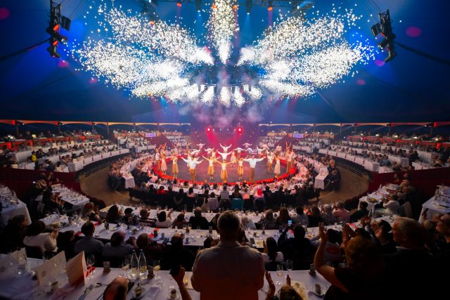L'expérience Dîner; Déjeuner spectacle Arlette Gruss