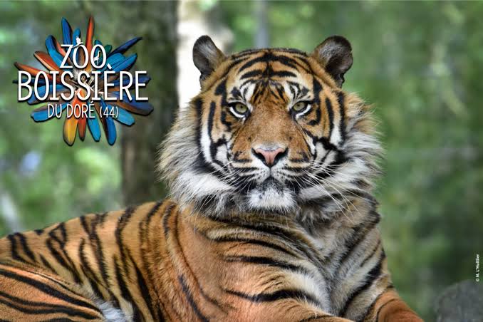 ZOO DE LA BOISSIÈRE DU DORÈ