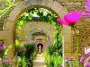 Jardins de Normandie : 5 sorties nature pour les CSE une escapade incroyable au sein des jardins normands