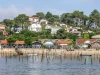 Bassin d’Arcachon, une escapade familiale Bassin d’Arcachon, une escapade familiale