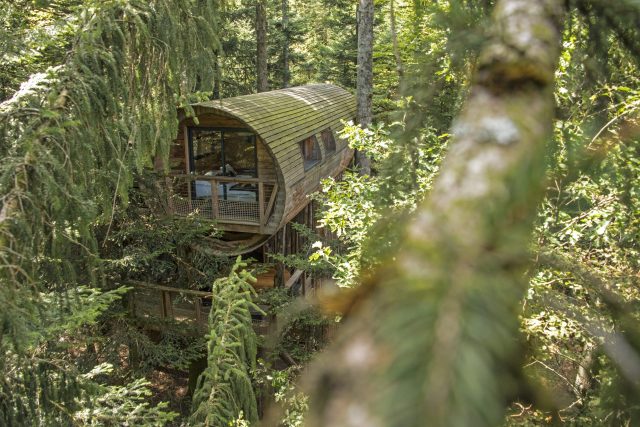 Séjour insolite en cabane perchée dans le Grand Est