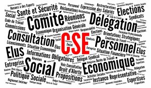 Élus de CSE analysant les documents économiques de leur entreprise
