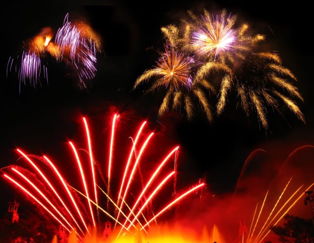 Quand les parcs de loisirs offrent de véritables spectacles