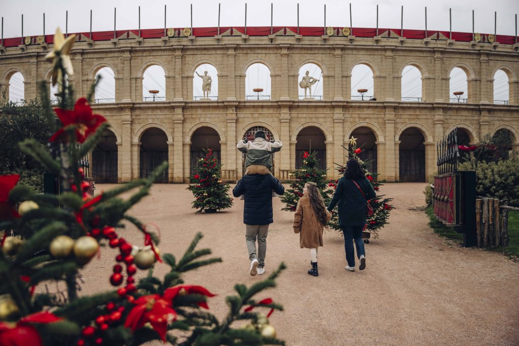 Puy du Fou CSE : le nouveau spectacle nocturne Le Mystère de Noël