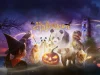 Pairi Daiza, l’émerveillement de toutes les générations pour les fêtes ! Pairi Daiza CSE : décors lumineux de Christmas Time dans le parc