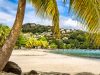 Comment les Français choisissent leurs vacances d’hiver ? Comment les Français choisissent leurs vacances d’hiver ?